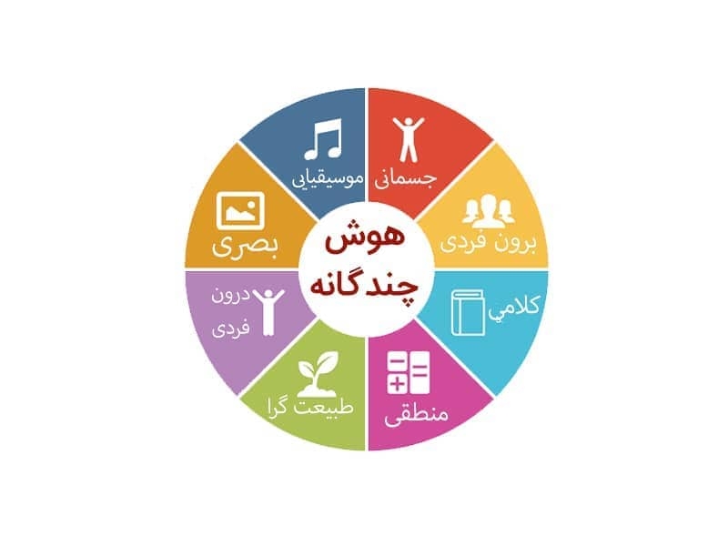 هوش‌های هشتگانه گاردنر به شرح زیر هستند: